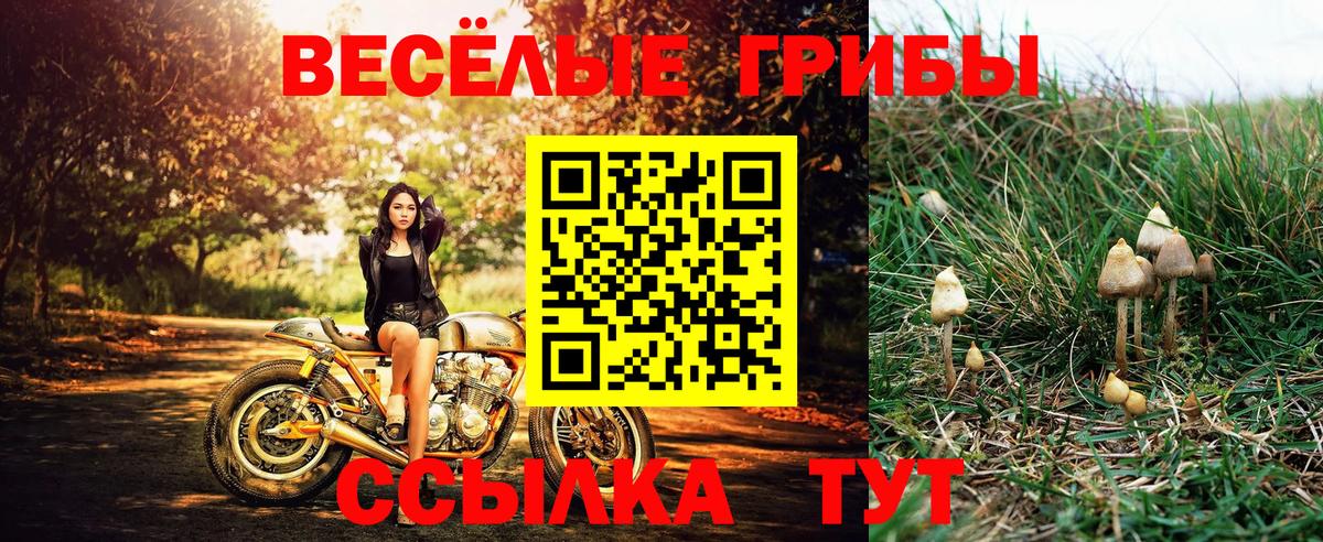 Псилоцибиновые грибы мухоморы  Псилоцибиновые грибы прущие грибы  купить наркоту  Вход с VPN  Выкса 
